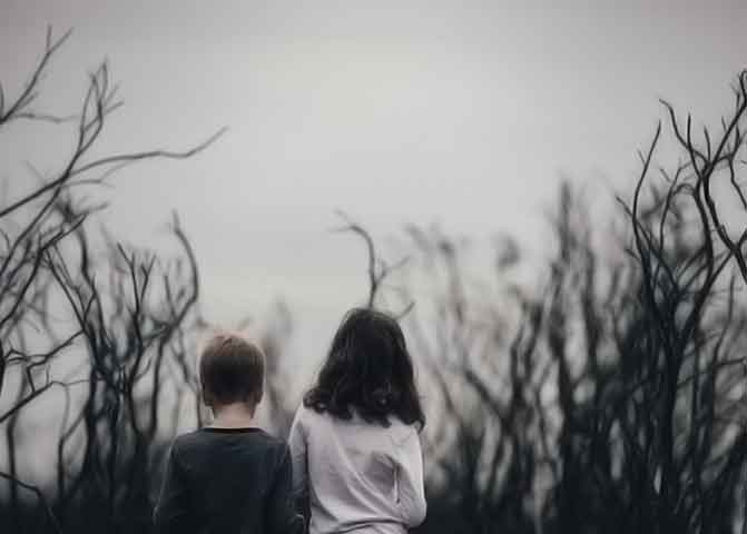 引领效率革命的器测压文章